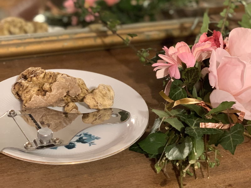 Food experiences Merana: His majesty the Truffle