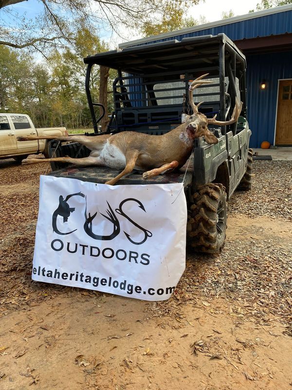 Arkansas Trophy Whitetail Deer Hunts