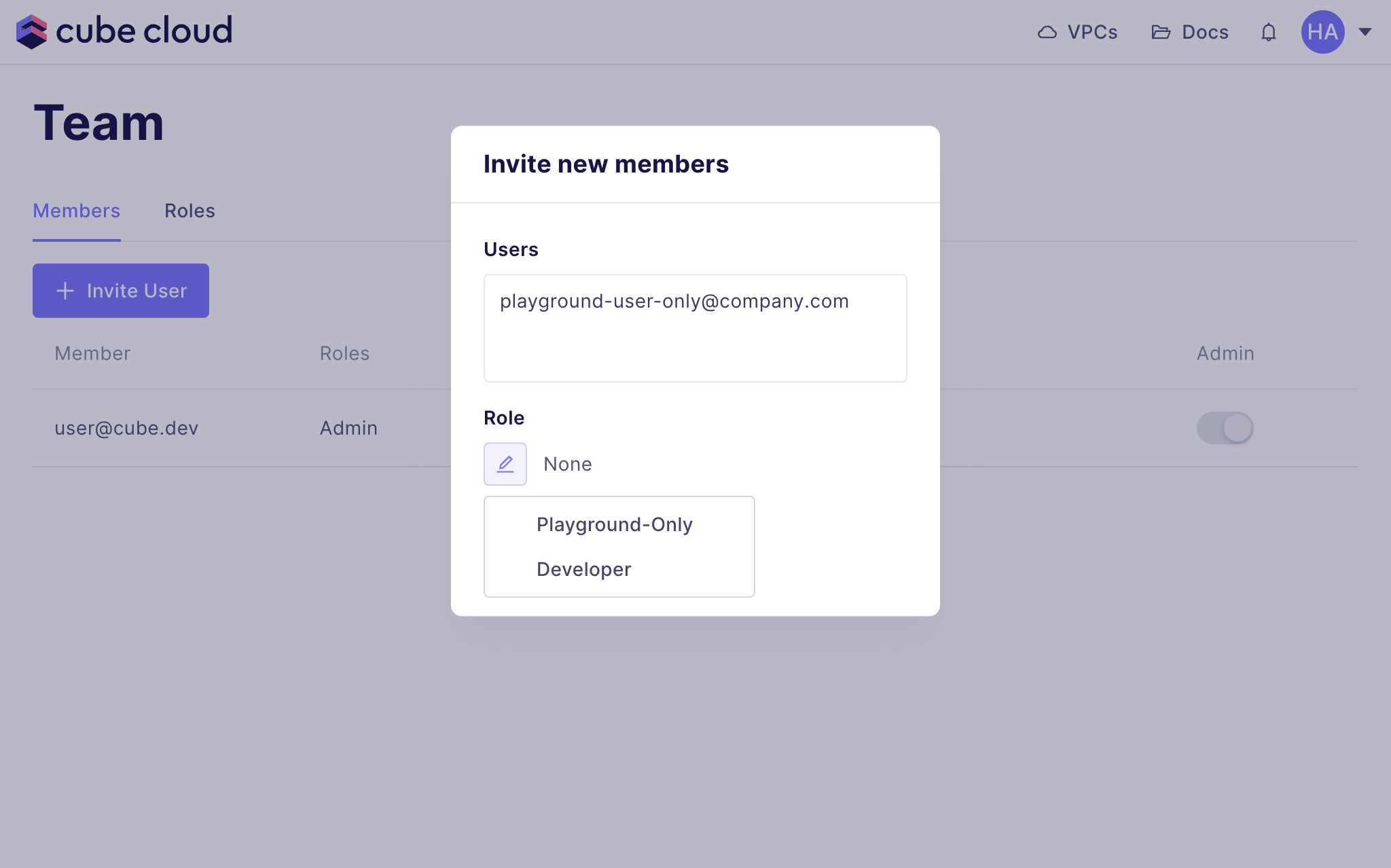 Cube Cloud Team Roles tab