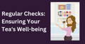 regular checks: ensuring your teal's well-being