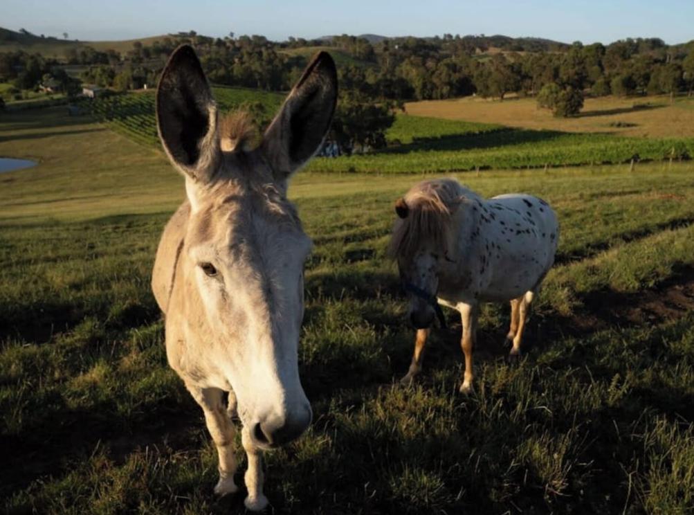 Screenshot_2-2-2026_93439_www.vrbo