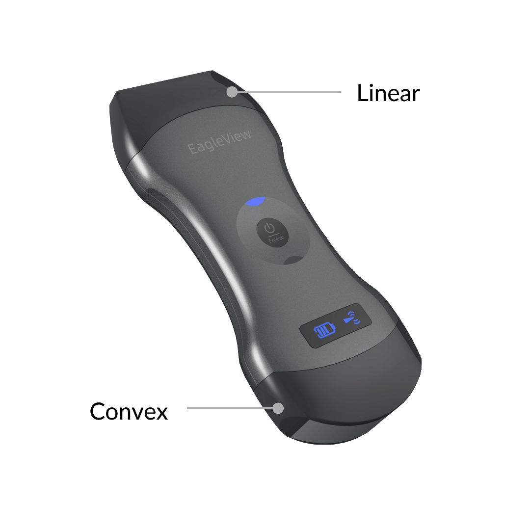 EagleView ultrasound works as a curvilinear probe ultrasound probe and a phased array ultrasound probe at the same time.
