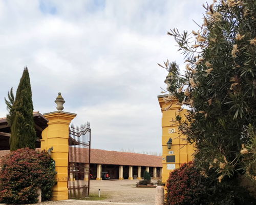 Corsi di cucina Nogara: Pasta, risotto e tiramisù in villa del ‘700