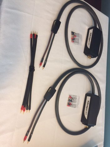 MIT Speaker Cables Shotgun MA 32x - Reduced!