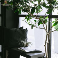 ceed-designs-contemporary-minimalistic-malaysia-penang-others-office-interior-design