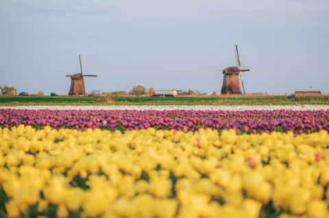 Secret Sights of the Netherlands: Full-Day Tour from Amsterdam