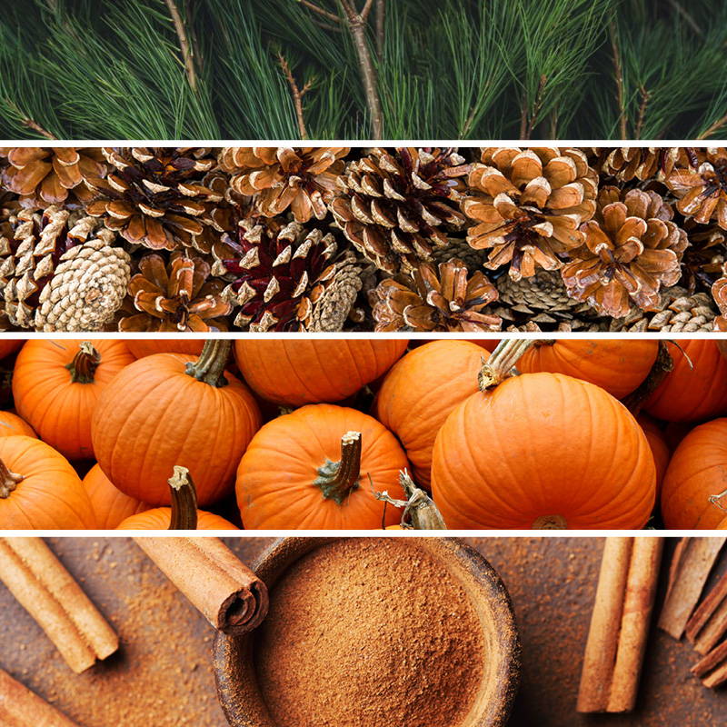Pumpkin fragrance candles, scented candle