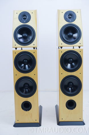 Von Schweikert VR-4jr Floorstanding Speakers ( 9589 )