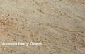 Astoria Ivory Granit – wärmerer beige Naturstein mit ruhiger Maserung