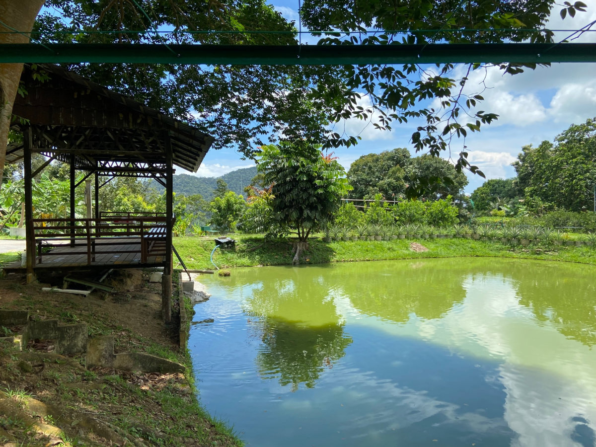 Tropical Fruit Farm