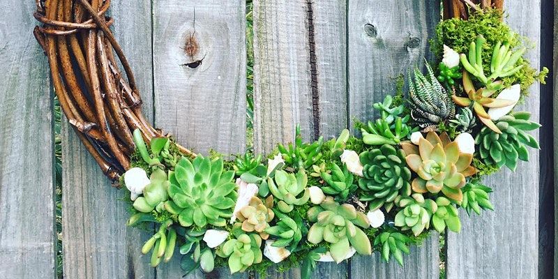 Make-n-Take: Grapevine Wreath with Succulents promotional image