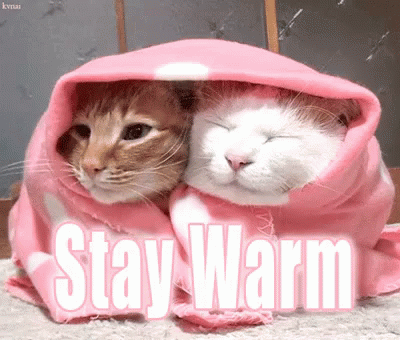 Stay Warm | SxDolled