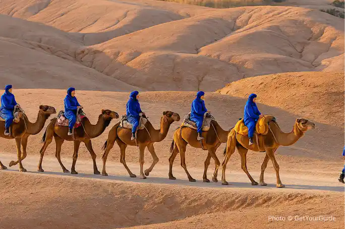 Agafay Desert and Atlas Mountains Day-Trip with Lunch