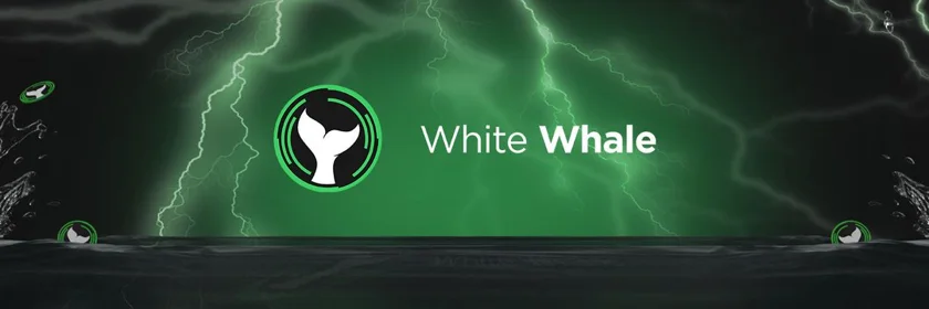 A picture that shows the cover picture for Whitewhale that is launching on JUNO network