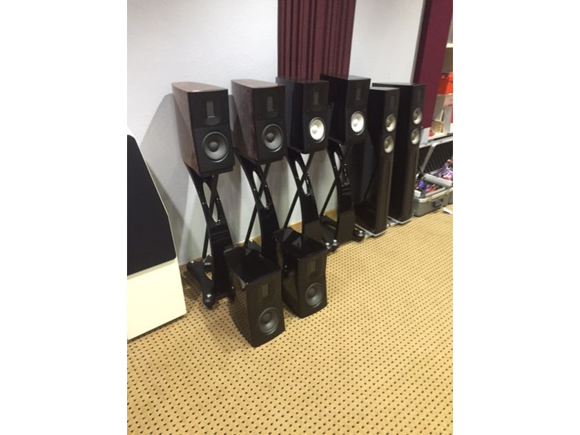 Raidho Acoustics APS D1 Black w/ black stands.  FREE SHIPPING VIA FREIGHT IN THE US.