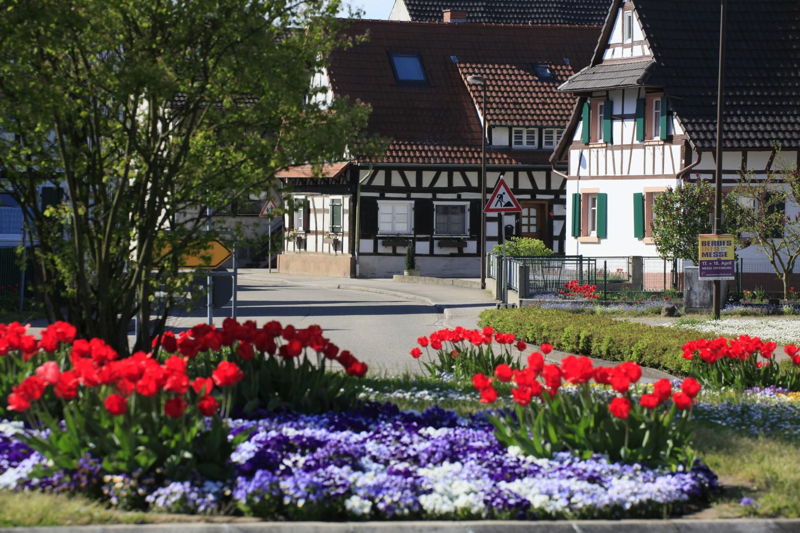 Impressionen Hanauerland