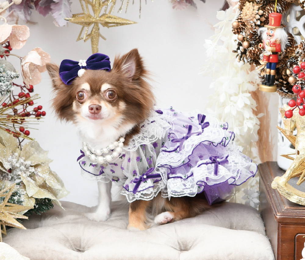 犬のリード Luxe birdie グランマルチリード リュクスバーディ 18日はポイント3倍!!リュクスバーディ Luxe birdie