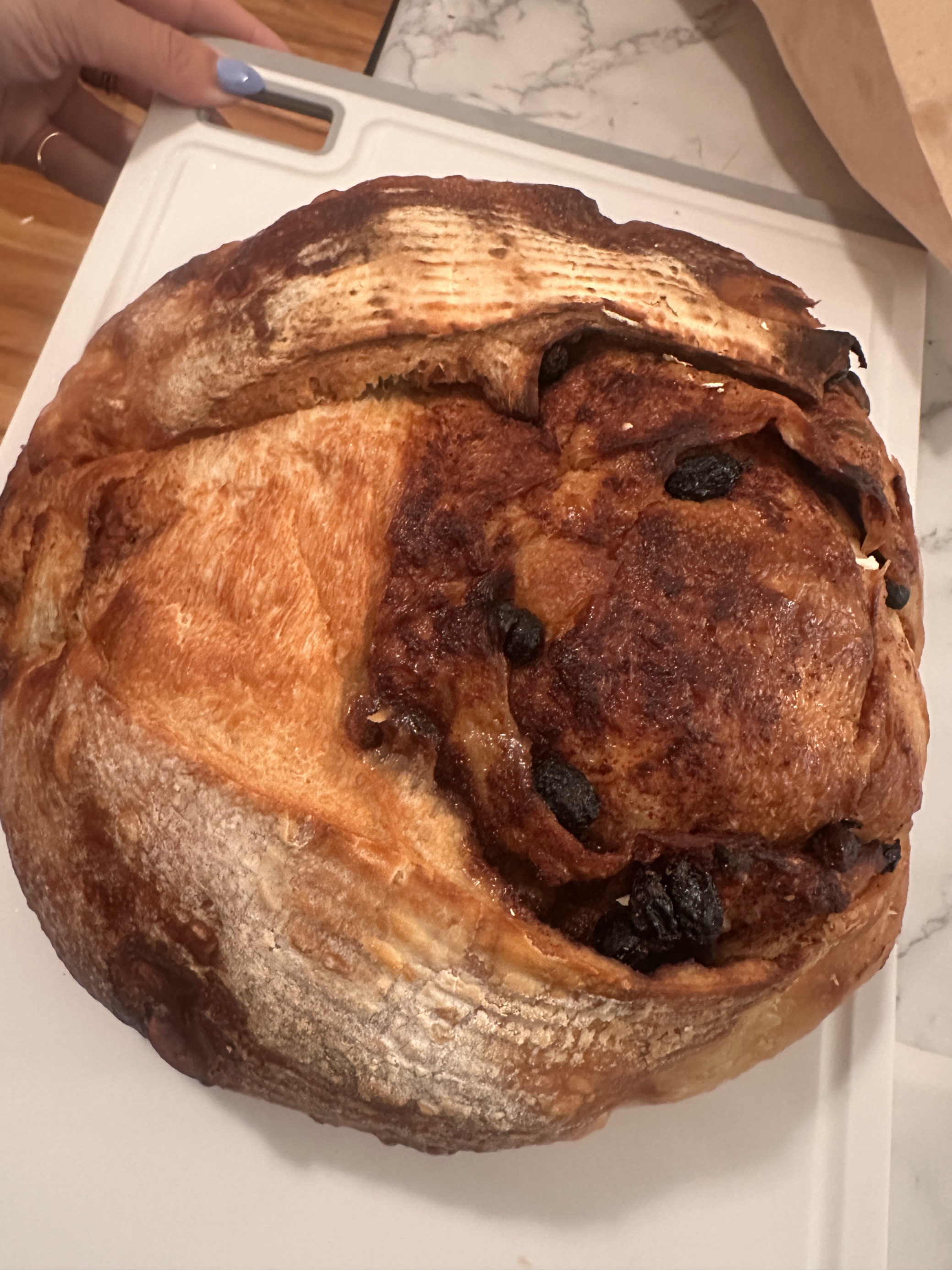 Shayna | Homemade Sourdough — photo from hotplate.com