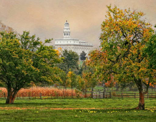 Nauvoo Temple picture with apple tree in foreground.