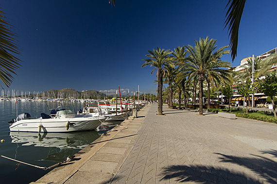  Pollensa
- Alcudia Mar Club, Mallorca North