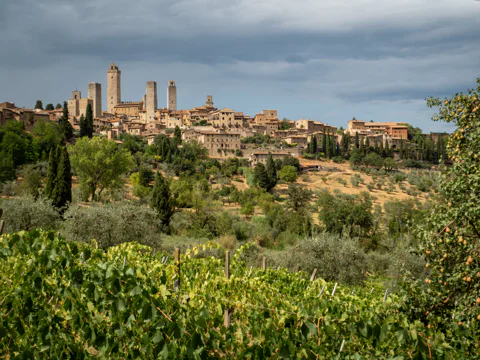 Florence: Wine Roads, Chianti Villages and San Gimignano