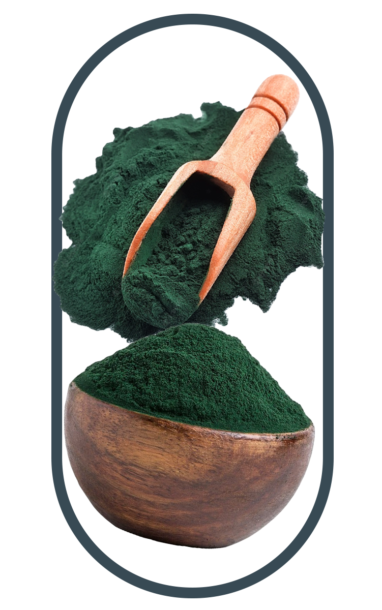 Bowl of Green powder made of spirulina found in the best Multivitamins for men