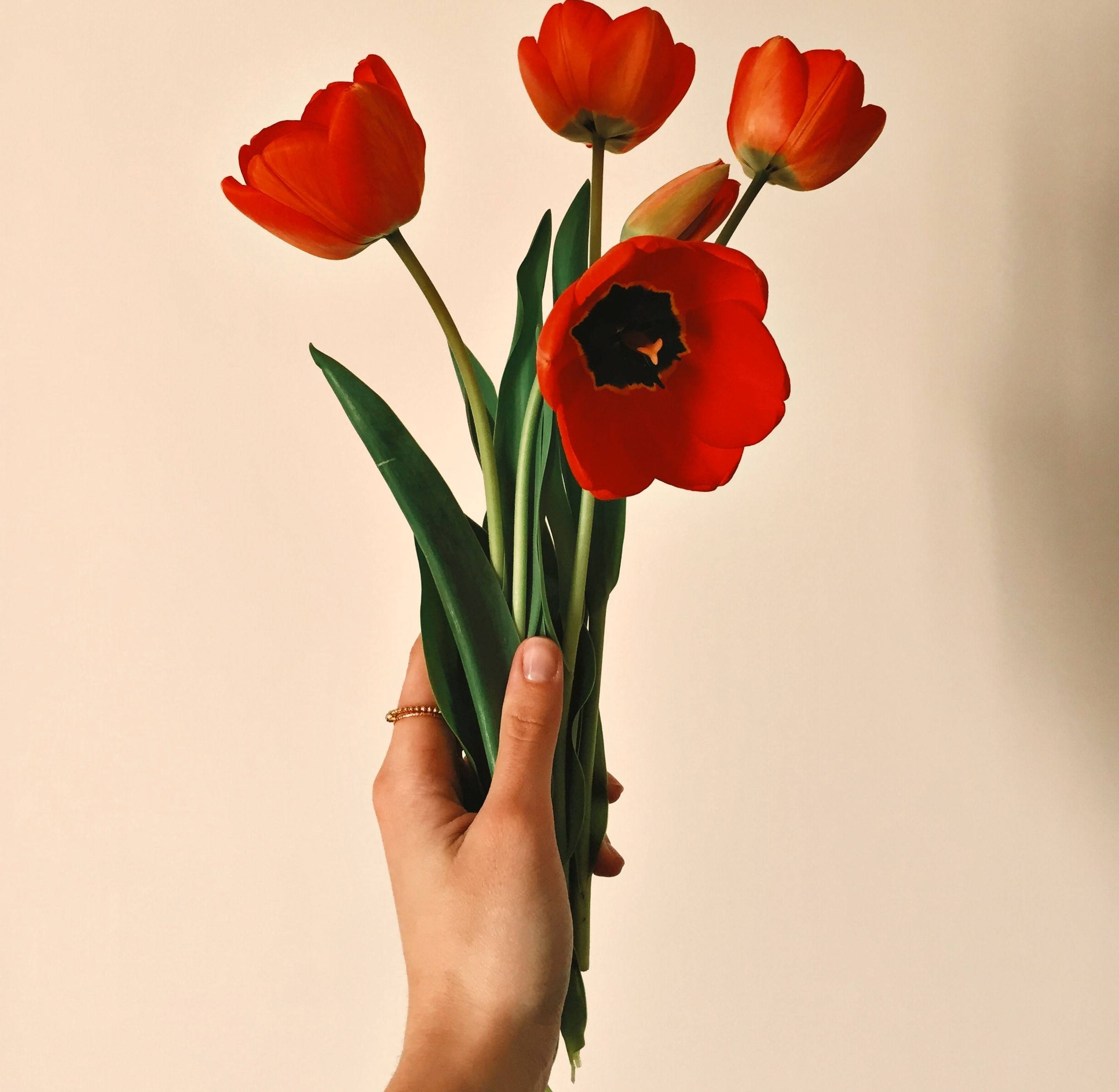 Dallas-Fort Worth Florist