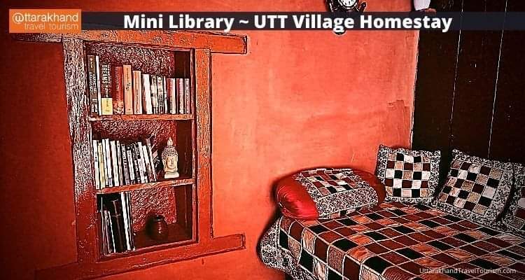 mini library.jpeg