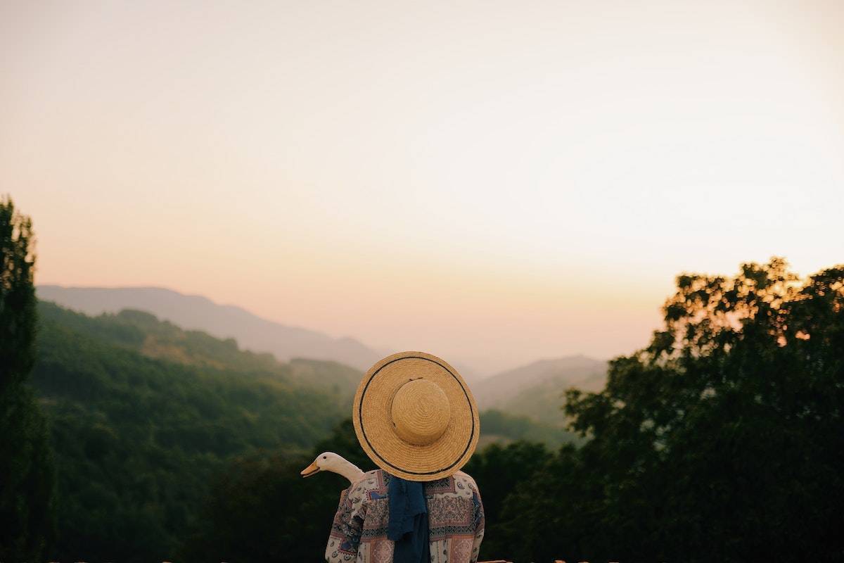 Rear view of a person holding a duck looking into mountain range in the distance. 