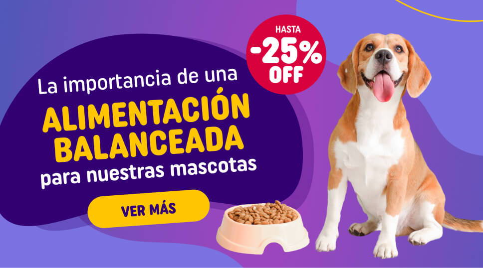 El mejor alimento para tu mascota - Productos