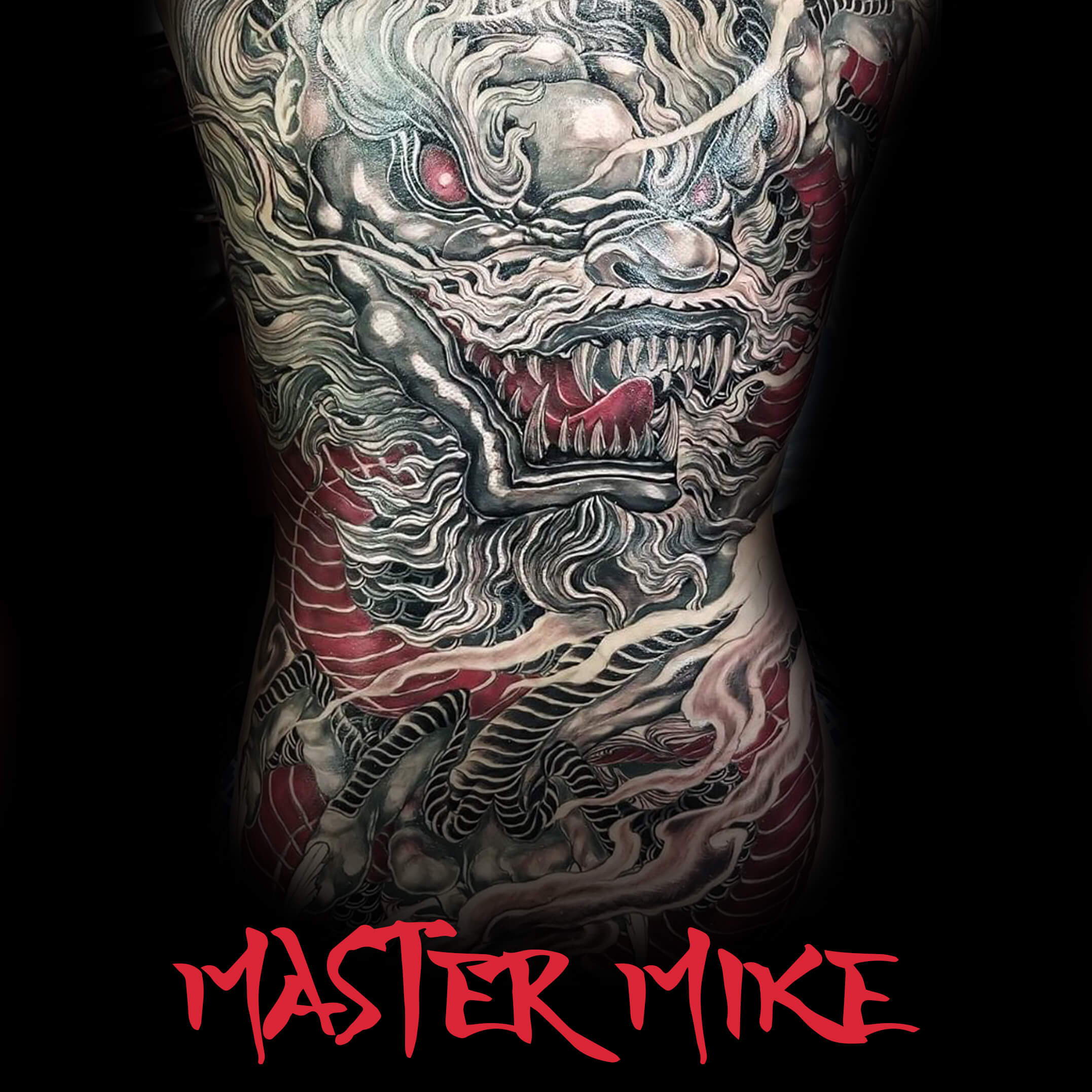 Master Mike Pro Series Set