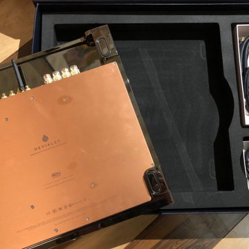 Expert 1000 Pro Dual Mono Integrated Amplifier DAC