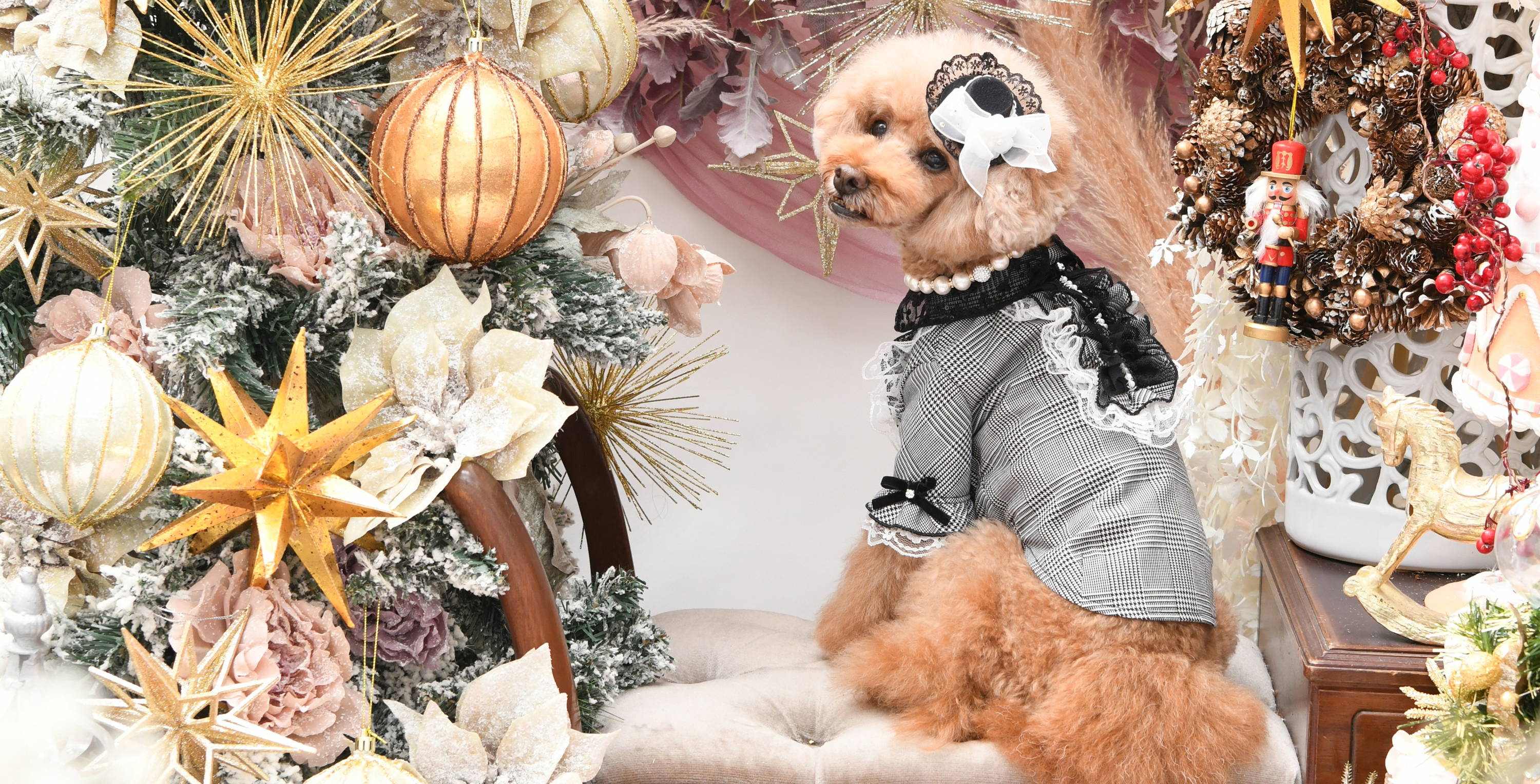 luxebirdie リュクスバーディ キャノラドレス① 楽天市場】リュクスバーディ Luxe birdie キャノラドレス【小型犬 犬服