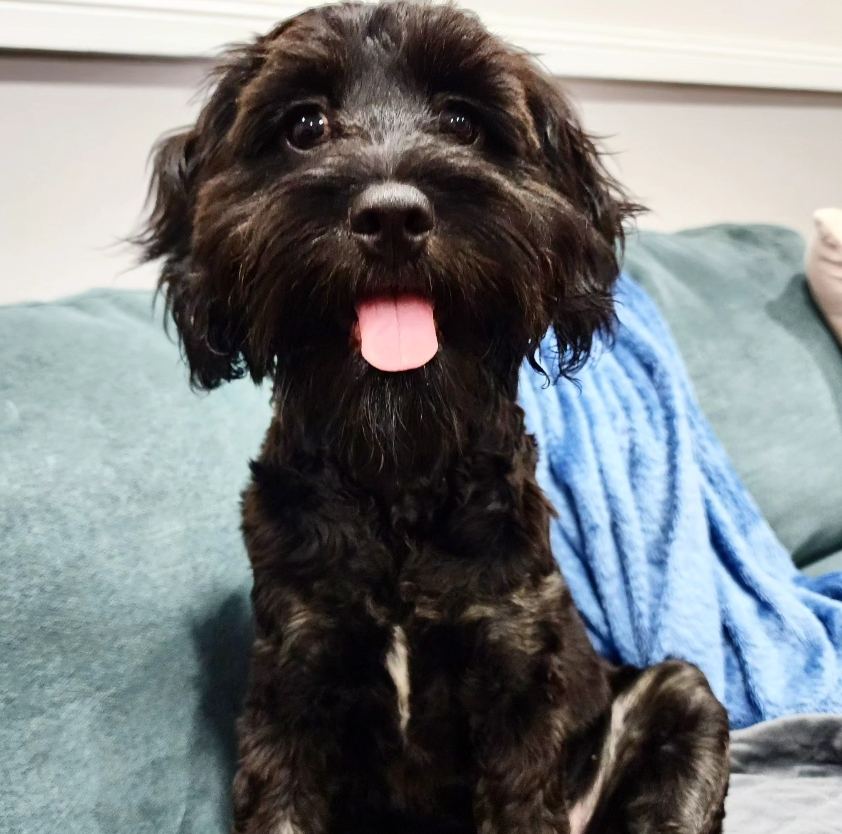 Moorland Cottage Cafe - Voucher - Image 6