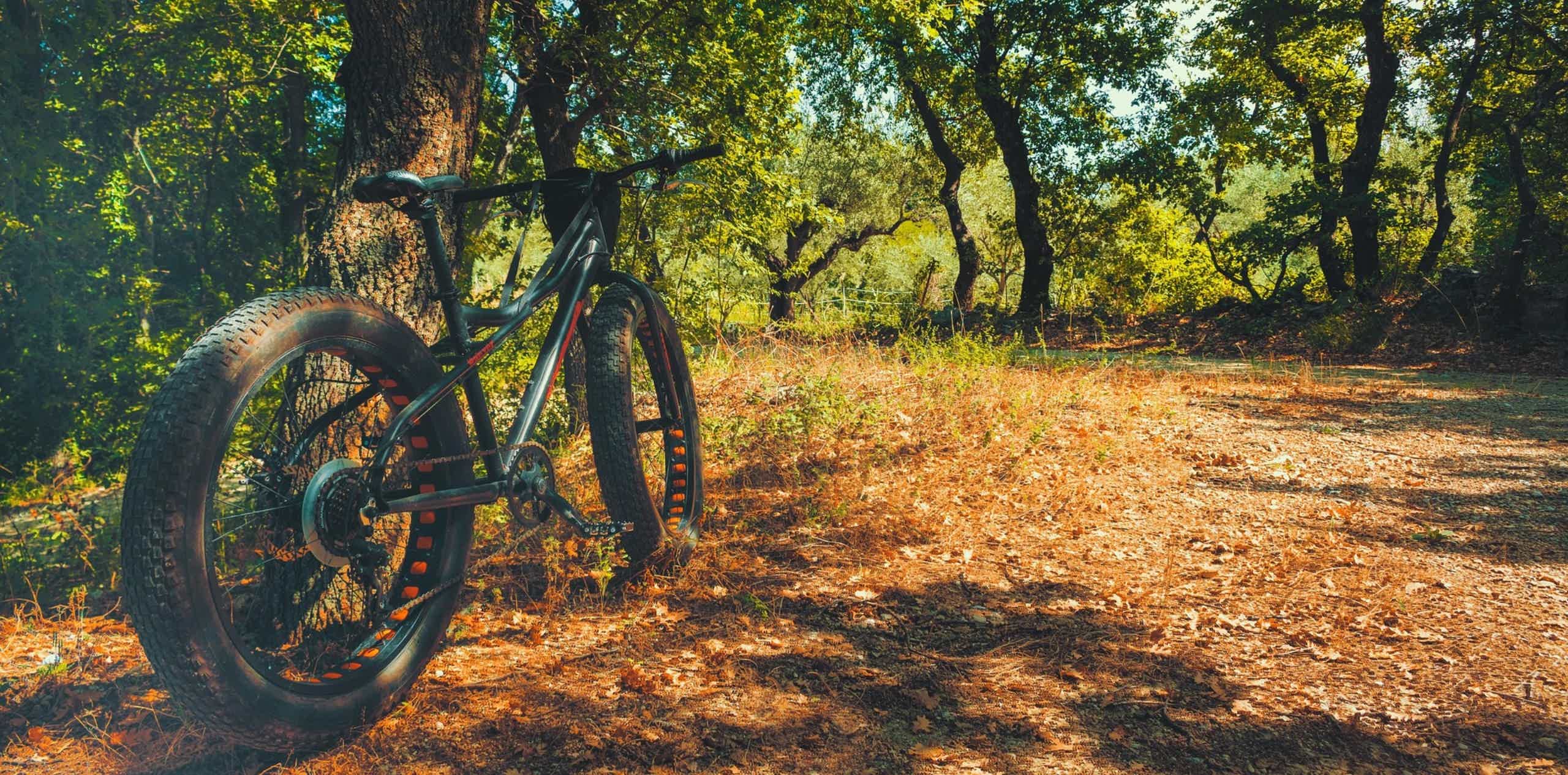 Imagen de recurso de una fat bike eléctrica.