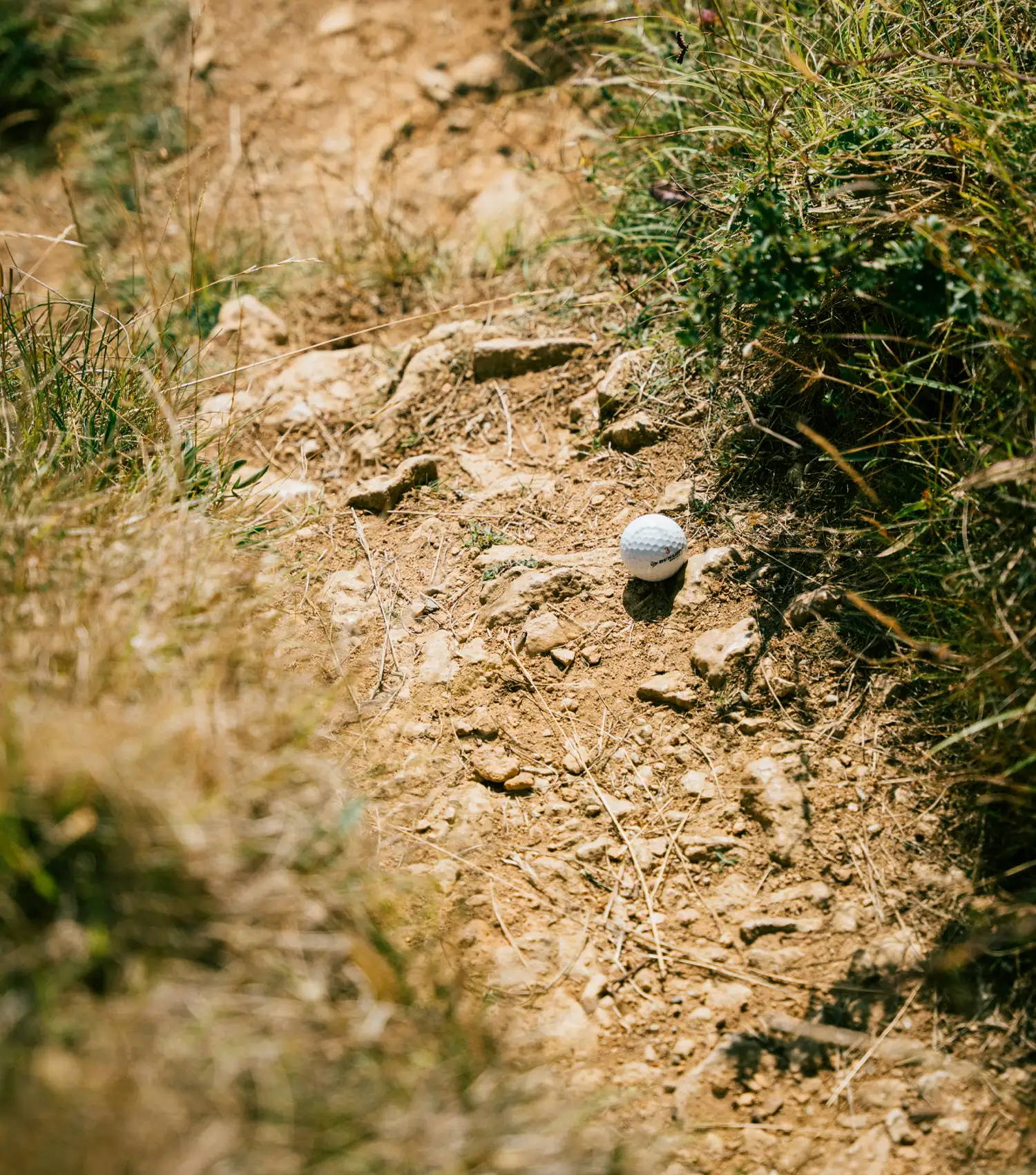 Ross' ball lands agonisingly short of the green and on one of the many limestone paths