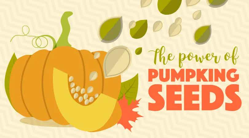 The Power Of Pumpkin Seeds