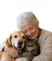 Enjoy 10% Off on Sundays for seniors  and their furry companions  all day long!