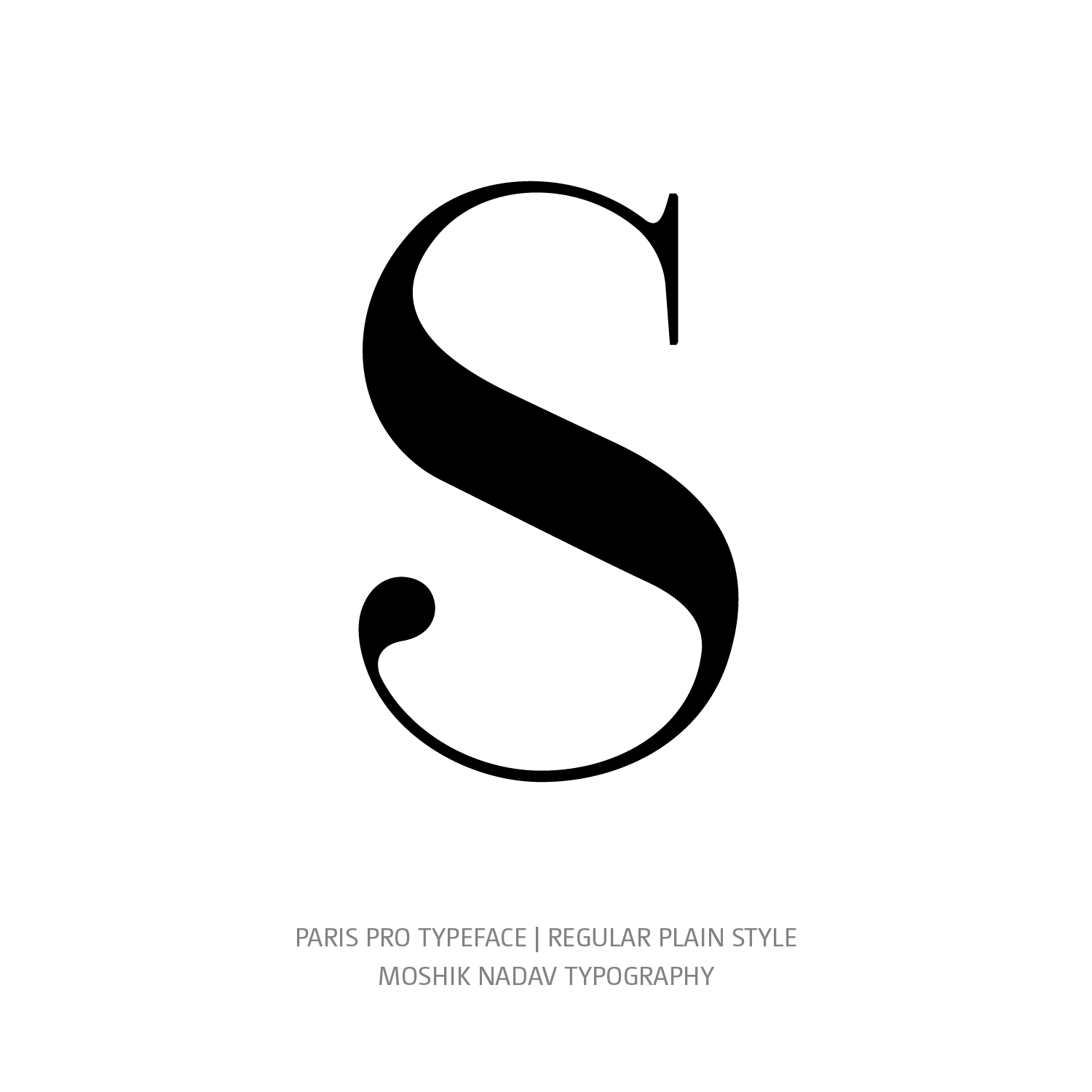 Paris Pro Typeface Regular Plain S