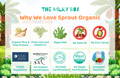 Why We Love Sprout Organic | The Milky Box