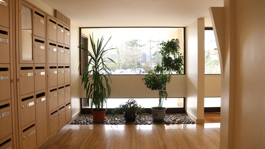 Intervention du jour ✨ hall immeuble la haye les roses — photo 6