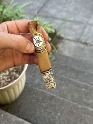 Nice ash
