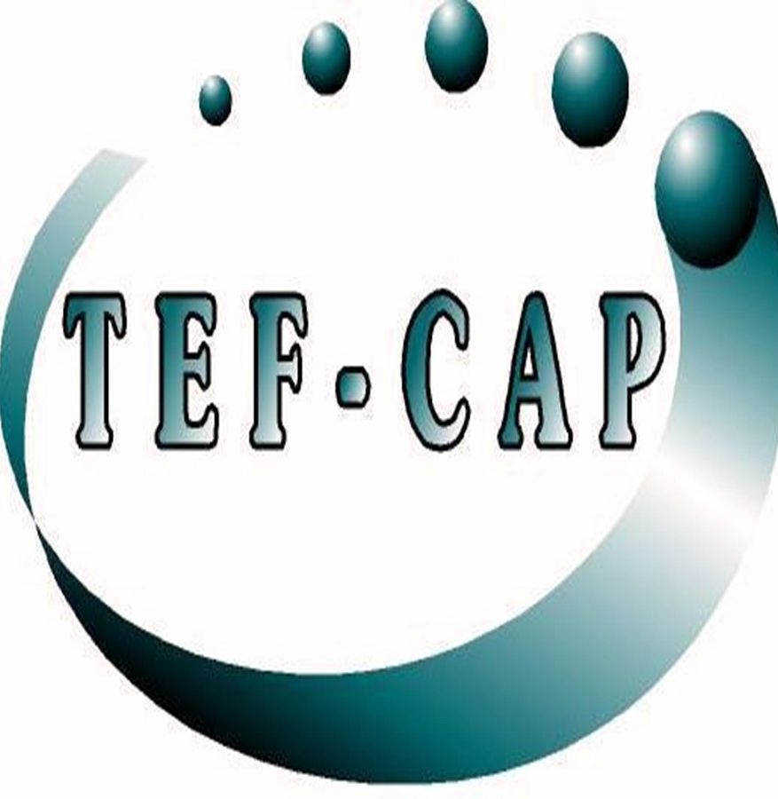 Tef  Cap Industries Inc