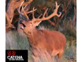 Argentina Red Stag Hunt in Northern Patagonia Argentina for Two Hunters