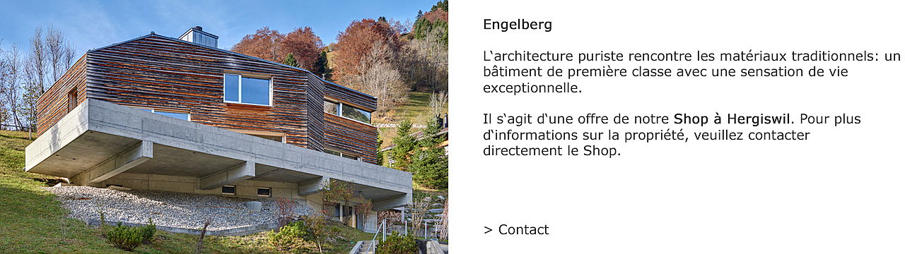 Zug
- L'architecture puriste rencontre les matériaux traditionnels.