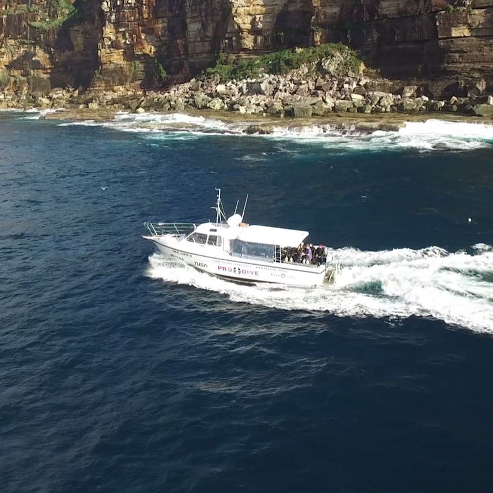 5 x Sydney Double Boat Dives with Tank & Weight