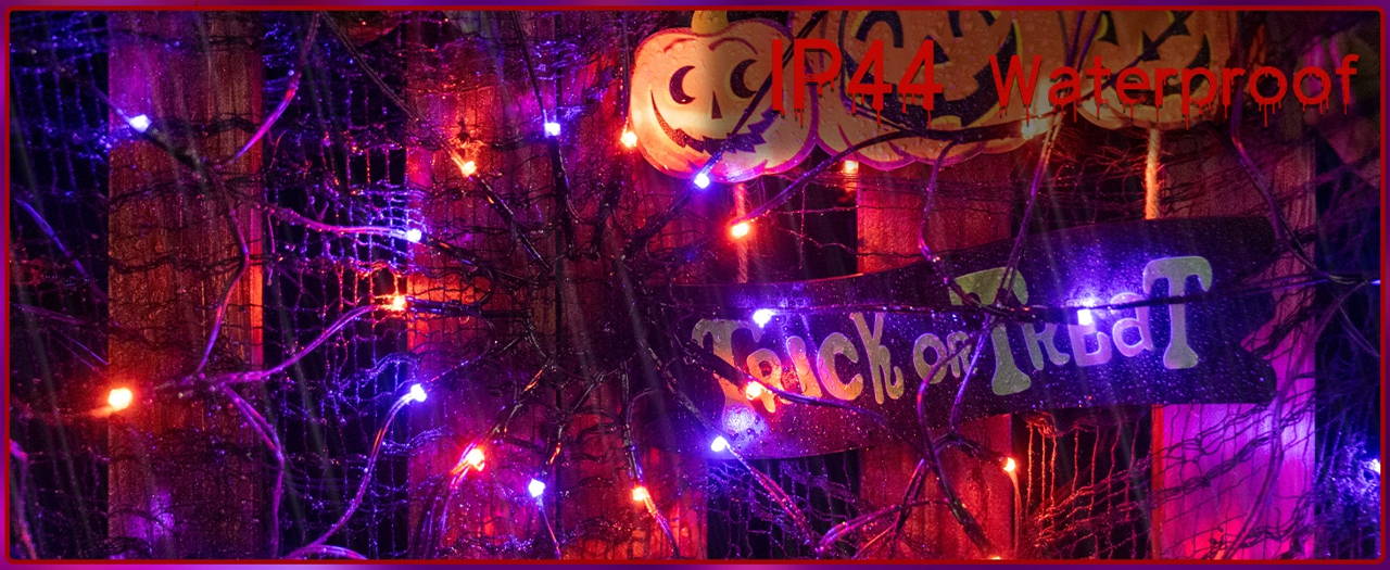 Ollny's 640 leds clear cable string lights can switch from warm white to 3 multi-colors