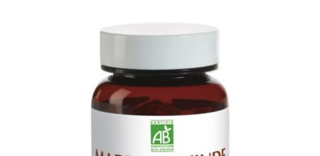 Marron d'Inde BIO