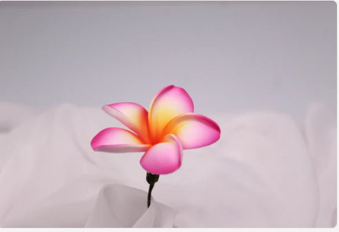 Tropical Sunset Frangipani Real Touch (6 Pack) - Realistic Artificial Flowers - Image 3