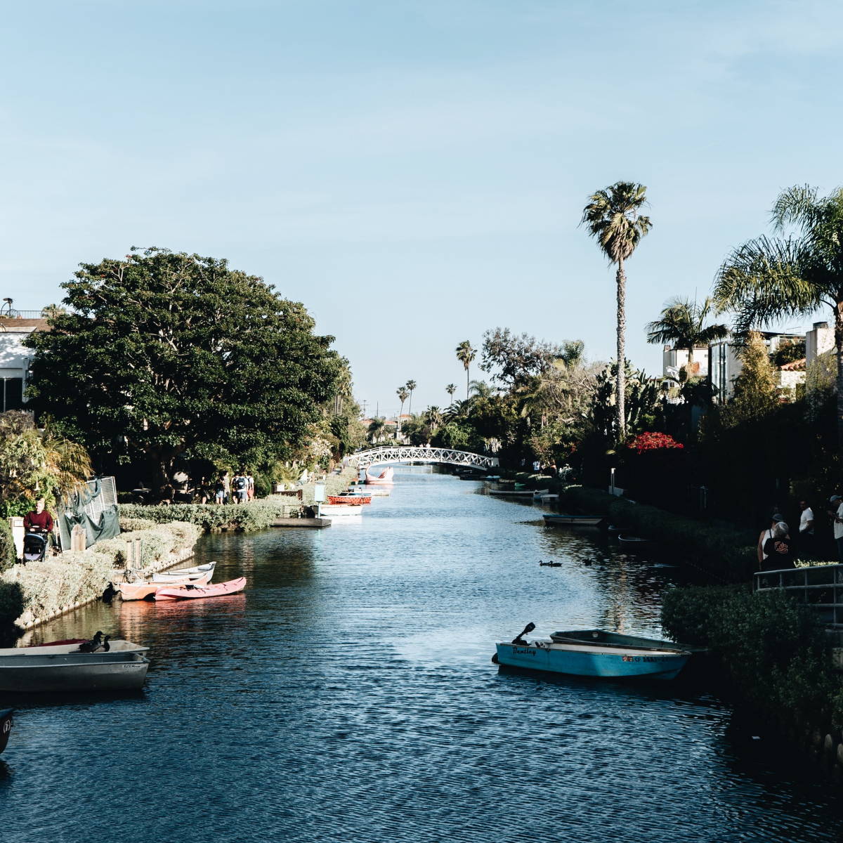 Venice Beach Travel Series